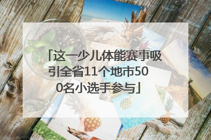 这一少儿体能赛事吸引全省11个地市500名小选手参与