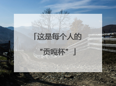 这是每个人的“贡嘎杯”