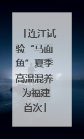 连江试验“马面鱼”夏季高温混养 为福建首次