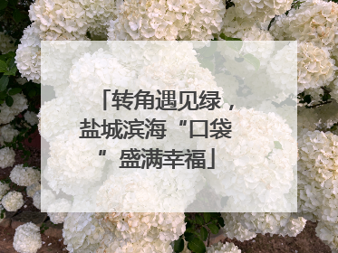转角遇见绿，盐城滨海“口袋”盛满幸福