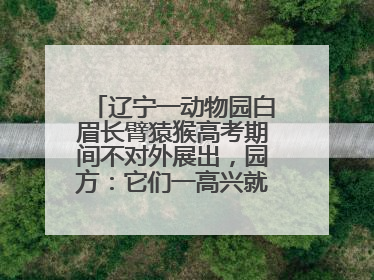 辽宁一动物园白眉长臂猿猴高考期间不对外展出，园方：它们一高兴就喜欢鸣叫，怕影响考试