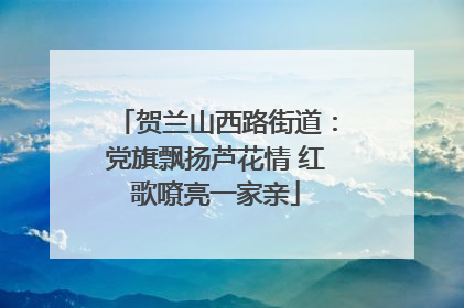 贺兰山西路街道：党旗飘扬芦花情 红歌嘹亮一家亲