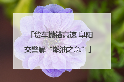 货车抛锚高速 阜阳交警解“燃油之急”