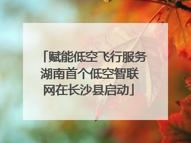 赋能低空飞行服务 湖南首个低空智联网在长沙县启动