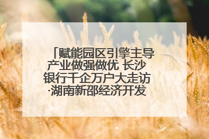 赋能园区引擎主导产业做强做优 长沙银行千企万户大走访·湖南新邵经济开发区专场活动举行