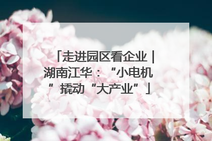 走进园区看企业｜湖南江华：“小电机”撬动“大产业”