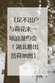 足不出户与荷花来一场浪漫约会！湖北推出赏荷地图