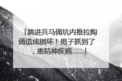 跳进兵马俑坑内推拉陶俑造成损坏！男子抓到了，患精神疾病……