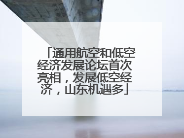 通用航空和低空经济发展论坛首次亮相，发展低空经济，山东机遇多