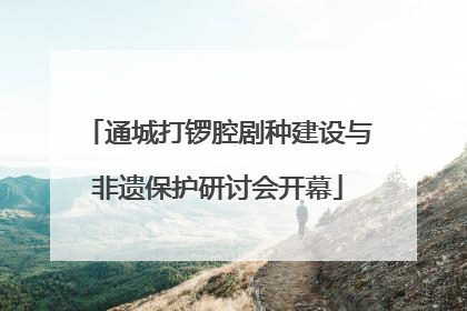 通城打锣腔剧种建设与非遗保护研讨会开幕
