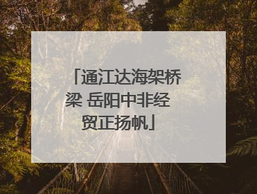 通江达海架桥梁 岳阳中非经贸正扬帆
