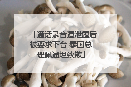 通话录音遭泄露后被要求下台 泰国总理佩通坦致歉