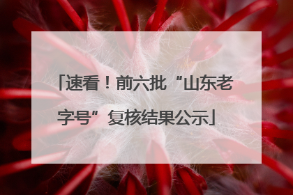 速看！前六批“山东老字号”复核结果公示