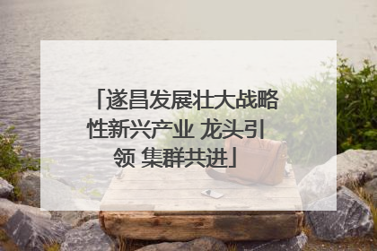 遂昌发展壮大战略性新兴产业 龙头引领 集群共进