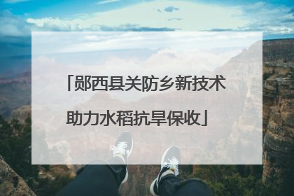 郧西县关防乡新技术助力水稻抗旱保收