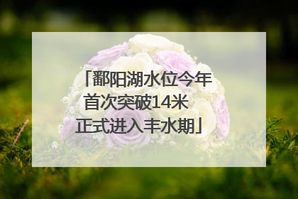 鄱阳湖水位今年首次突破14米 正式进入丰水期