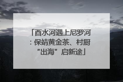 酉水河遇上尼罗河：保靖黄金茶、村厨“出海”启新途