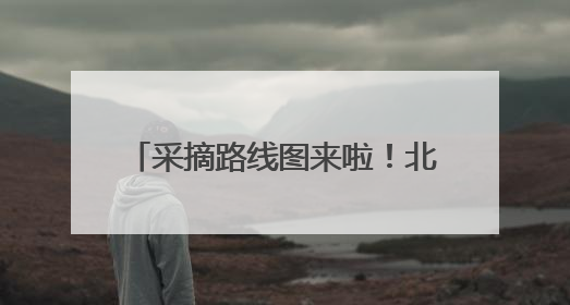 采摘路线图来啦！北京昌平近5000亩樱桃迎来采摘黄金期