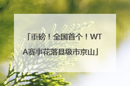 重磅！全国首个！WTA赛事花落县级市京山