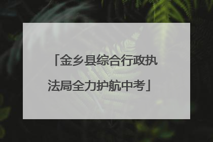 金乡县综合行政执法局全力护航中考