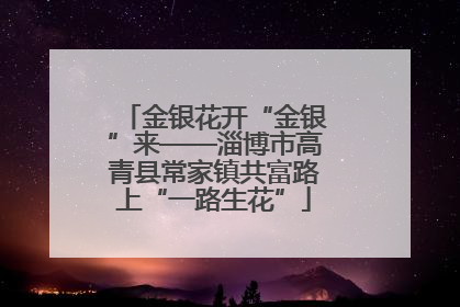 金银花开“金银”来——淄博市高青县常家镇共富路上“一路生花”