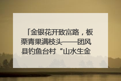 金银花开致富路，板栗青果满枝头——团风县钓鱼台村“山水生金”谱写共富新篇章