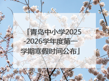 青岛中小学2025-2026学年度第一学期寒假时间公布