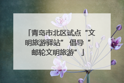 青岛市北区试点“文明旅游驿站” 倡导“邮轮文明旅游”