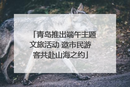 青岛推出端午主题文旅活动 邀市民游客共赴山海之约