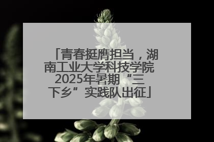 青春挺膺担当，湖南工业大学科技学院2025年暑期“三下乡”实践队出征