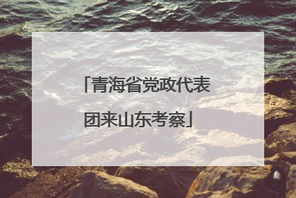 青海省党政代表团来山东考察