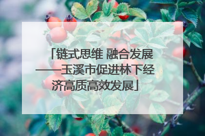 链式思维 融合发展——玉溪市促进林下经济高质高效发展