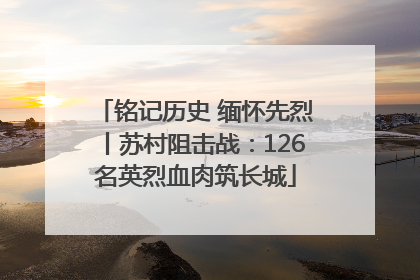 铭记历史 缅怀先烈丨苏村阻击战：126名英烈血肉筑长城
