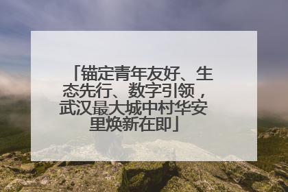 锚定青年友好、生态先行、数字引领，武汉最大城中村华安里焕新在即