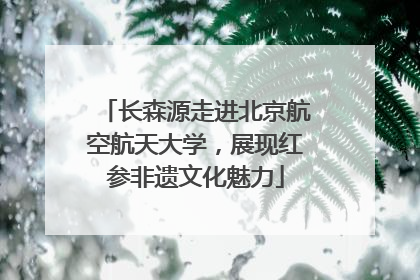 长森源走进北京航空航天大学，展现红参非遗文化魅力