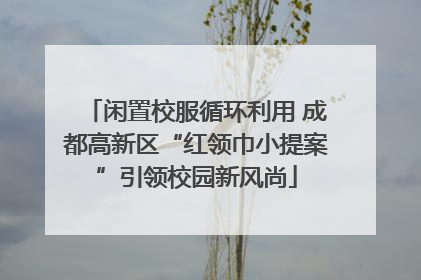 闲置校服循环利用 成都高新区“红领巾小提案”引领校园新风尚