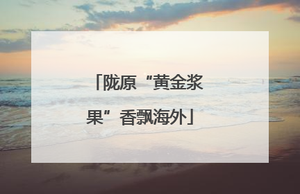 陇原“黄金浆果”香飘海外
