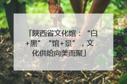 陕西省文化馆：“白+黑”“馆+景”，文化供给向美而聚