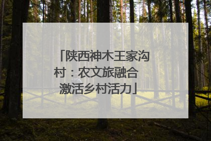 陕西神木王家沟村：农文旅融合 激活乡村活力