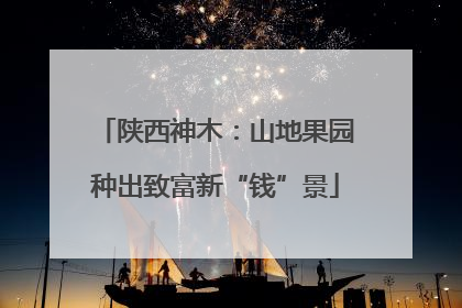 陕西神木：山地果园种出致富新“钱”景