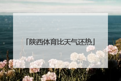 陕西体育比天气还热