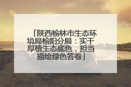 陕西榆林市生态环境局榆阳分局：实干厚植生态底色，担当描绘绿色答卷