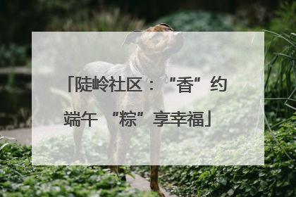 陡岭社区：“香”约端午 “粽”享幸福