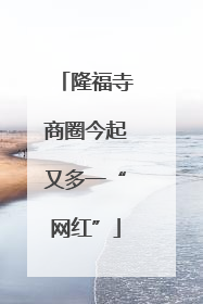 隆福寺商圈今起又多一“网红”