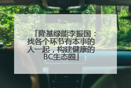 隆基绿能李振国：找各个环节有本事的人一起，构建健康的BC生态圈