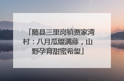 随县三里岗镇贾家湾村：八月瓜缀满藤，山野孕育甜蜜希望