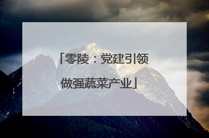 零陵：党建引领 做强蔬菜产业