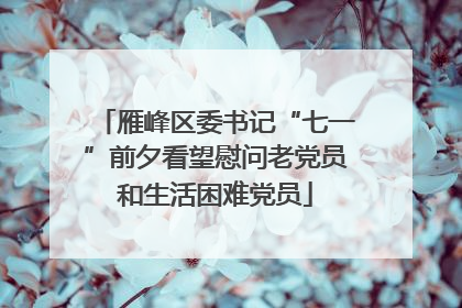 雁峰区委书记“七一”前夕看望慰问老党员和生活困难党员