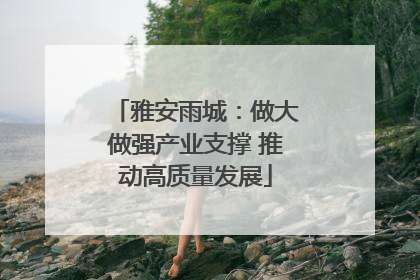 雅安雨城：做大做强产业支撑 推动高质量发展