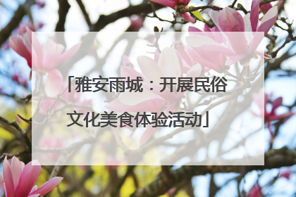 雅安雨城：开展民俗文化美食体验活动